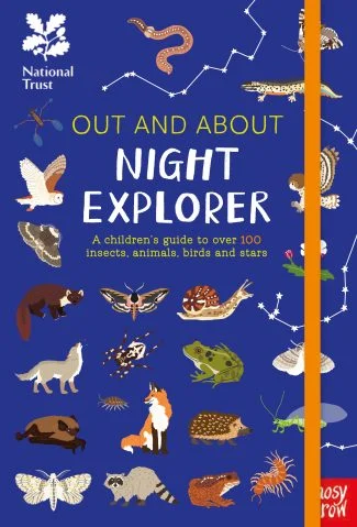 Nosy Crow: Out and About Night Explorer